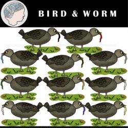 Birds Clipart - Worms Clipart - Color Clipart - Spring Clipart - Nature  Clipart