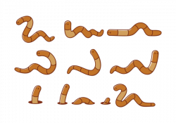 Earth worm clip art clipart collection