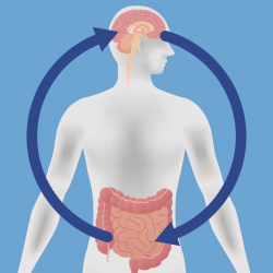 Can probiotics help treat depression and anxiety? - Harvard ...