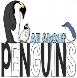 Penguins | Expository writing, Writing skills and Penguins