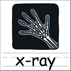 Clip Art: Basic Words: X-ray Color Labeled I abcteach.com ...