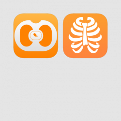 Radiology Anatomy on the App Store