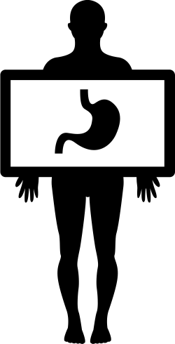 Human Body With X-ray Plate Focusing On Stomach Svg Png Icon Free ...
