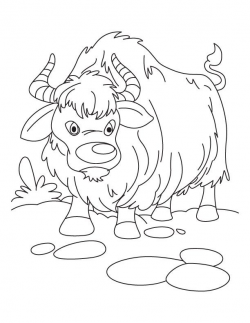 yak color sheet | Yak coloring page 4 | Everest VBS ...