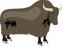 Bull clipart yak FREE for download on rpelm