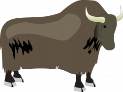 Domestic yak Cattle Clip art - M.Bison 1280*956 transprent Png Free ...