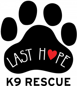 Petstablished | Last Hope K9 Rescue has pets for adopt.