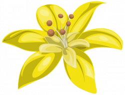 Yellow Flower PNG Image | Gallery Yopriceville - High-Quality ...
