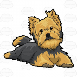 Yorkie, Little dogs and ... | Art I can do | Pinterest | Vector ...