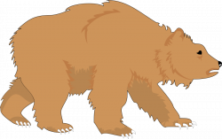 Free Bear Pictures | Free Download Clip Art | Free Clip Art | on ...