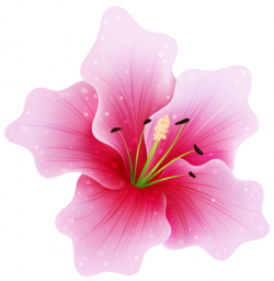 Pink Flower PNG by HanaBell1.deviantart.com on @deviantART | Idea ...