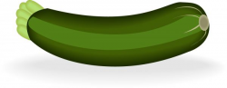 Illustrated image of zucchini. - stock photo free