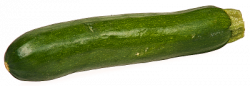 Free Zucchini Clipart, 1 page of Public Domain Clip Art