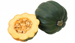 acorn squash png pic png - Free PNG Images | TOPpng