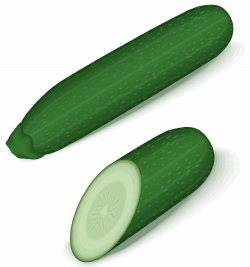 File:Green-zucchini.svg - Wikimedia Commons