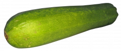 Food Zucchini - Stickers | PNG