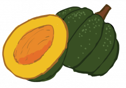 28+ Collection of Acorn Squash Clipart | High quality, free cliparts ...