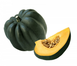 acorn squash png - Free PNG Images | TOPpng