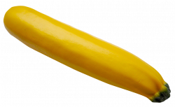 Yellow Zucchini PNG Image - PurePNG | Free transparent CC0 PNG Image ...