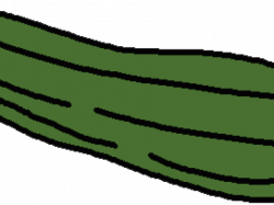 19 Zucchini clipart HUGE FREEBIE! Download for PowerPoint ...