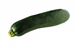 Zucchini PNG HD | PNG Mart