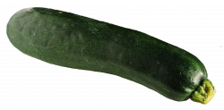 Download Zucchini PNG Photo - Free Transparent PNG Images ...